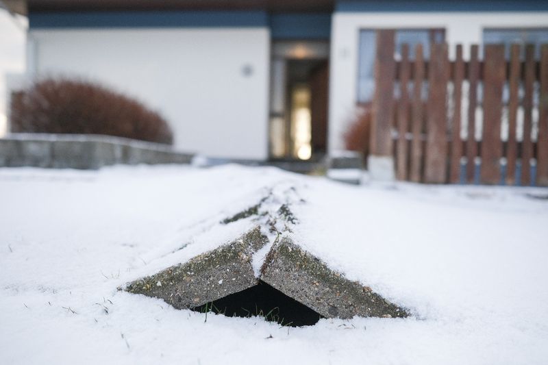 fre_20231123_155541891