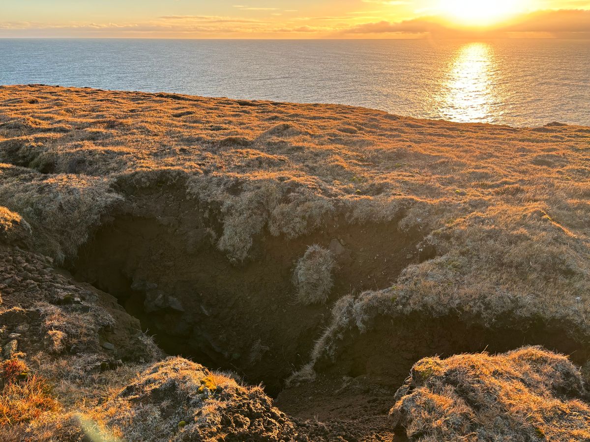 Part of the crack at Krýsuvíkurbjarg.