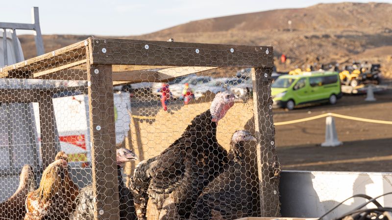 Fr_20231113_132923901