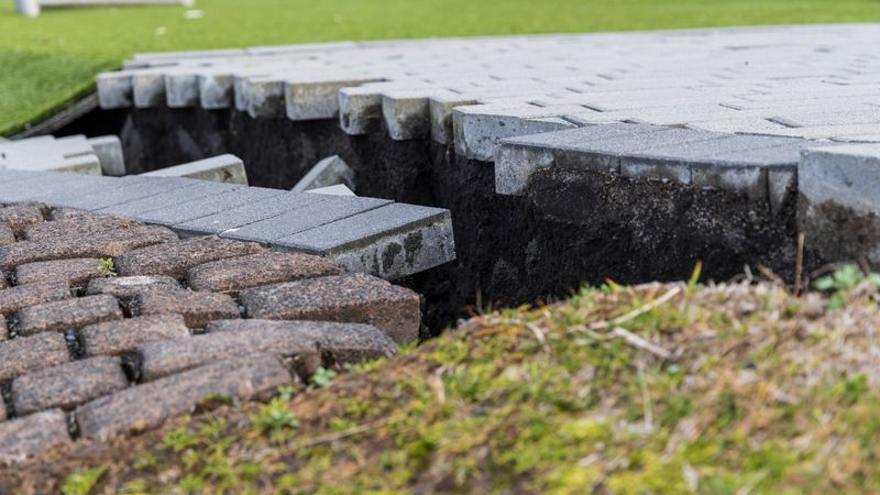 fre_20231114_123320130