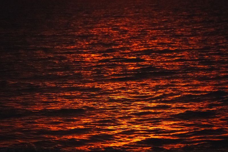 fre_20231219_09034974