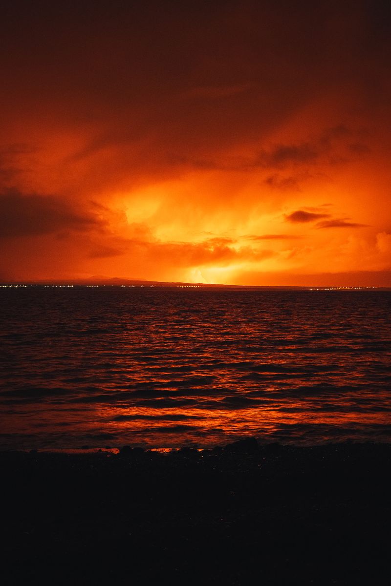 fre_20231219_09044141