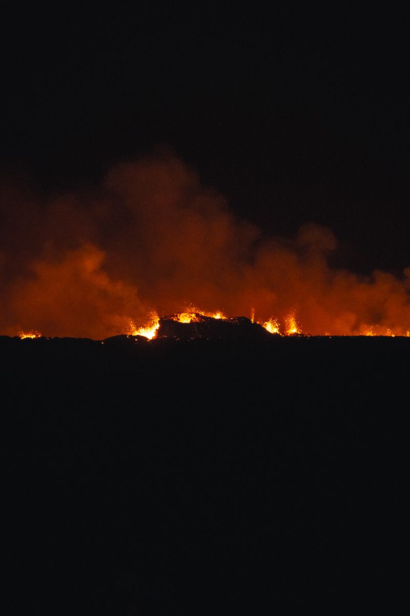 fre_20231219_09010970