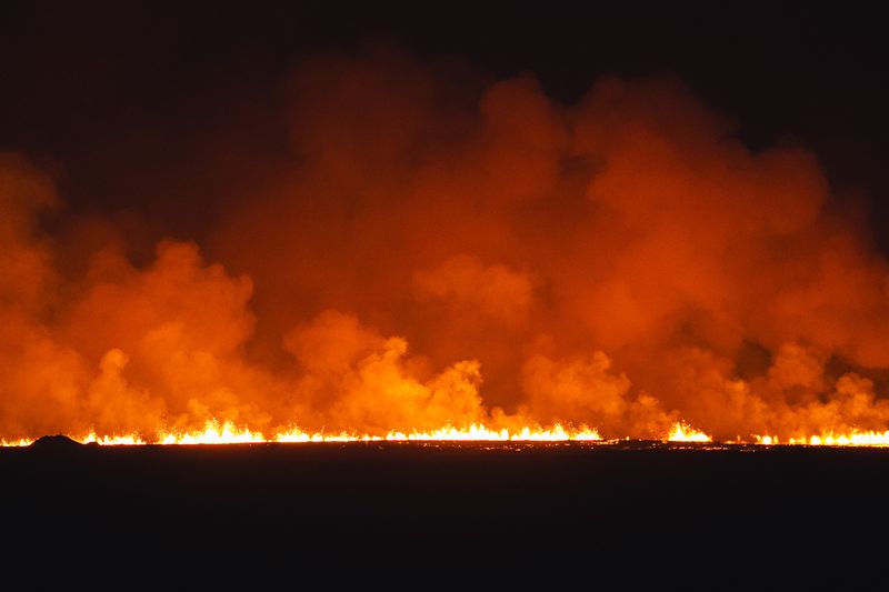 fre_20231219_090022860