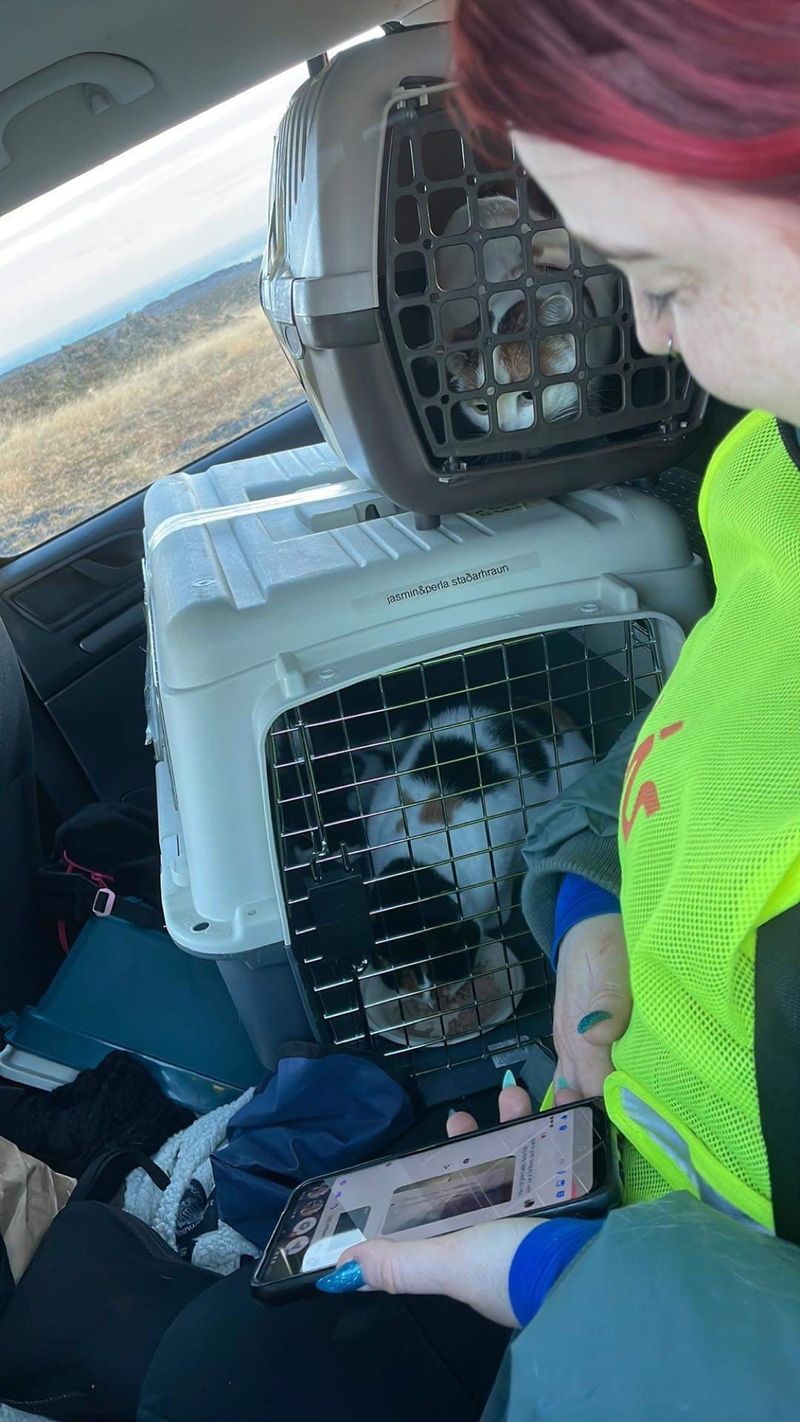 Fr_20231113_19430770